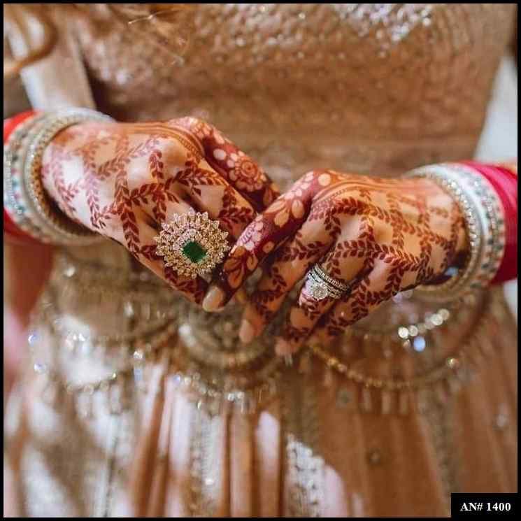 Back Full Hand Bridal Mehndi Design AN 1400
