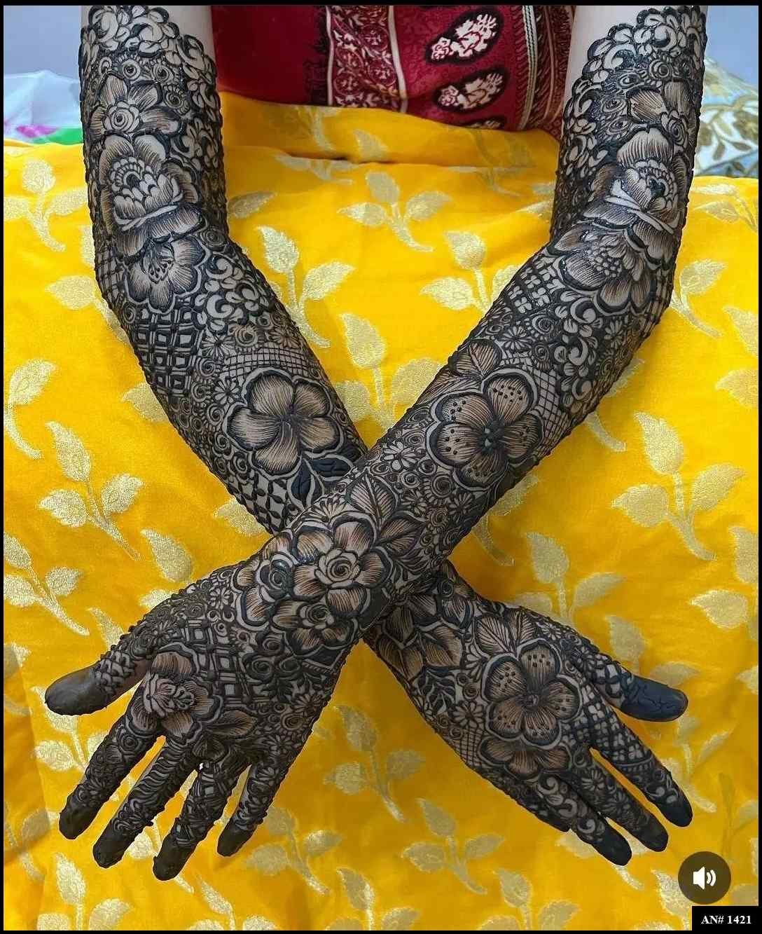 Back Full Hand Bridal Mehndi Design AN 1421