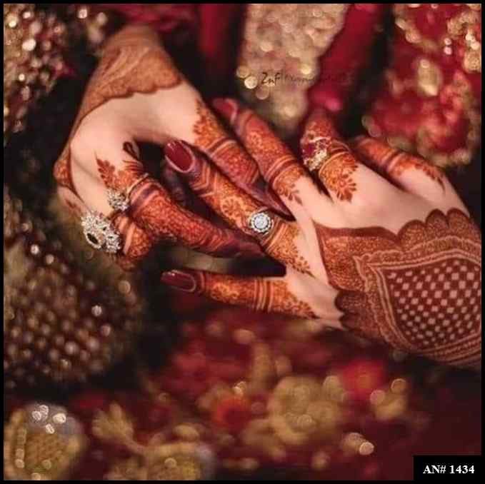 Back Full Hand Bridal Mehndi Design AN 1434