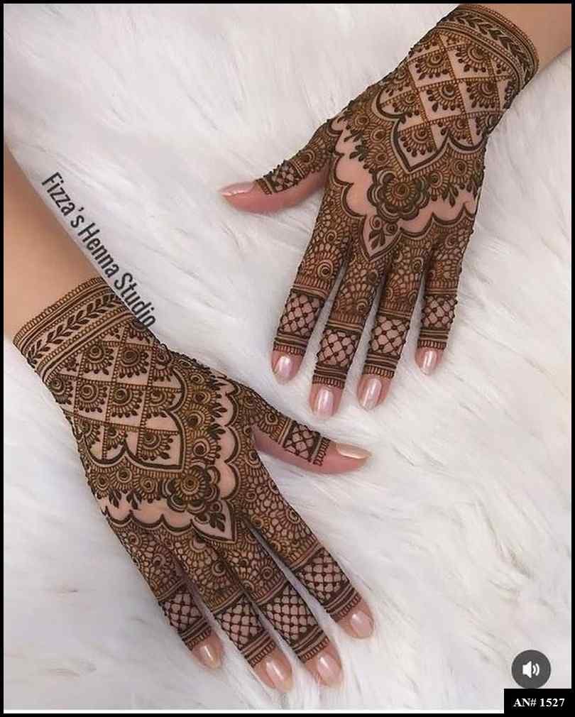 Back Full Hand Bridal Mehndi Design AN 1527