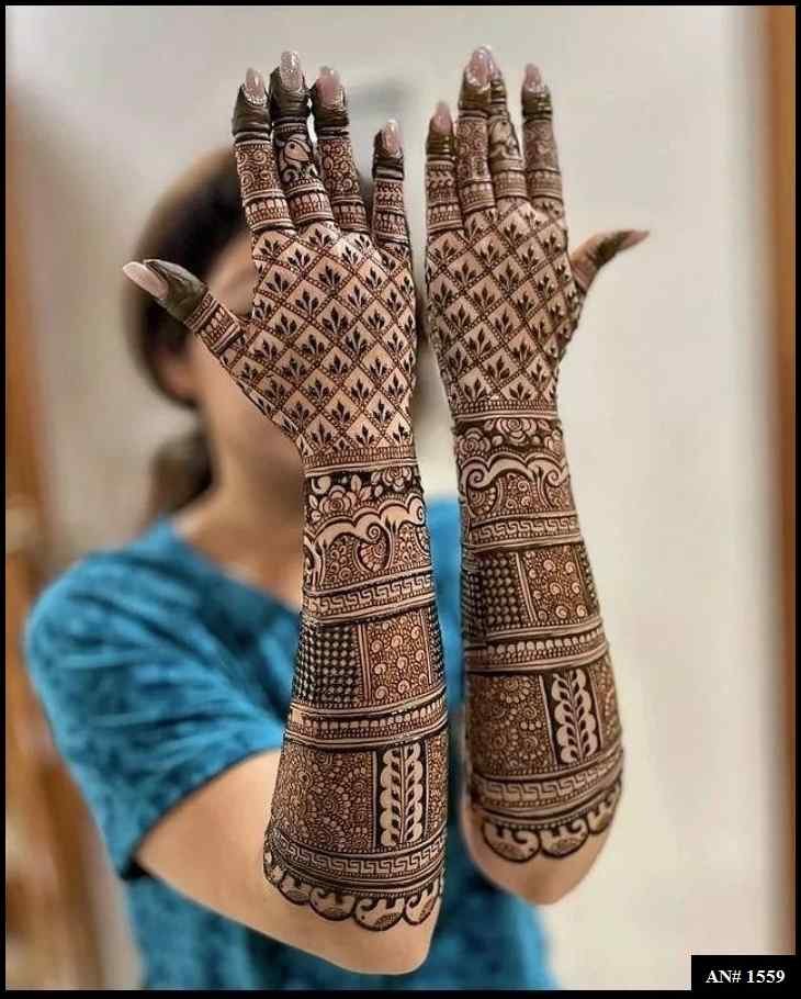 Back Full Hand Bridal Mehndi Design AN 1559