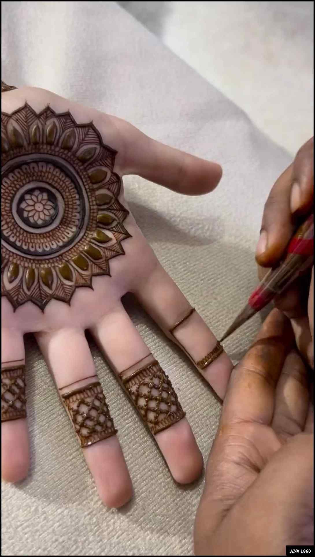 Back Full Hand Bridal Mehndi Design AN 1860