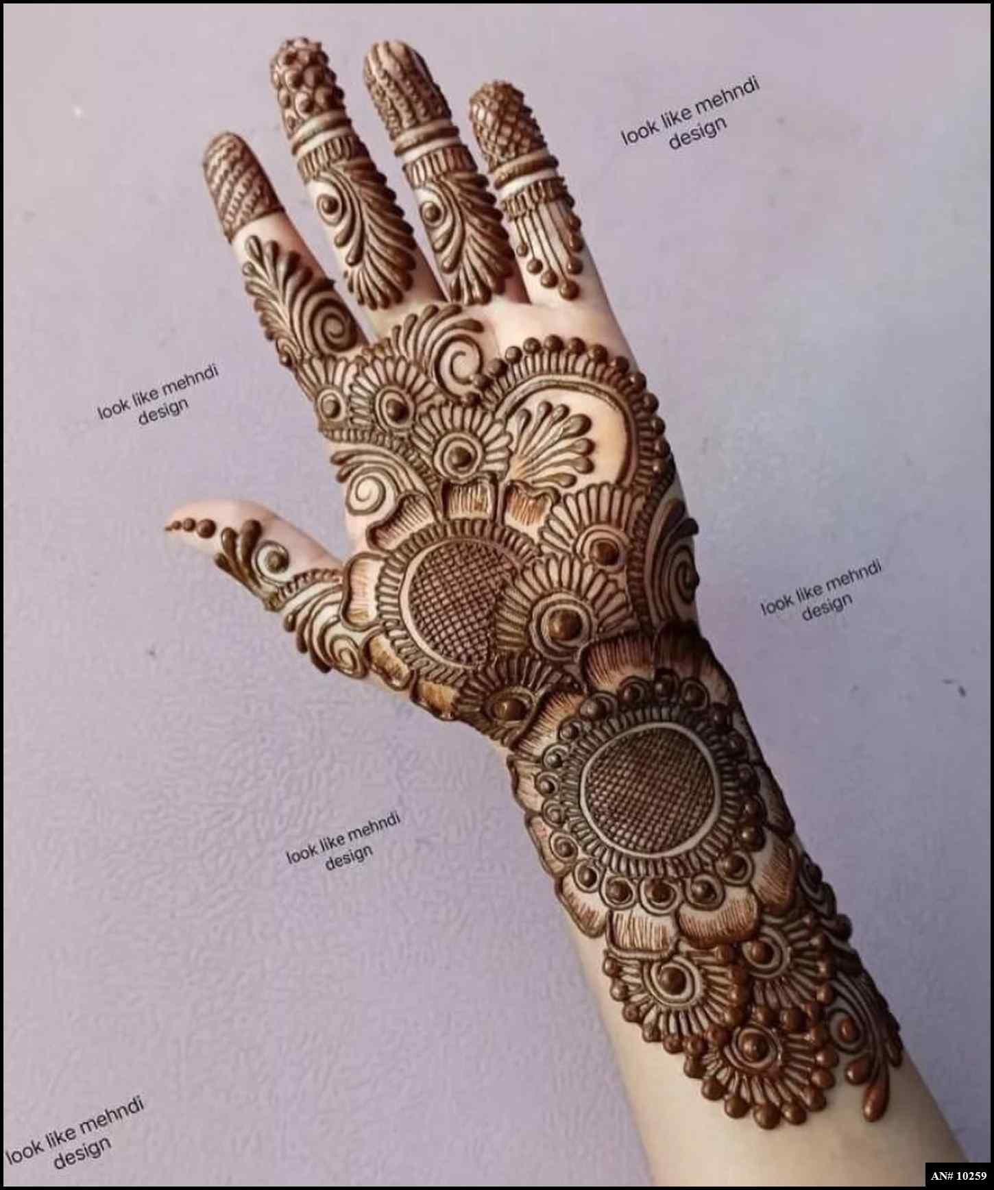 Front Hand Mehndi Design AN 10259