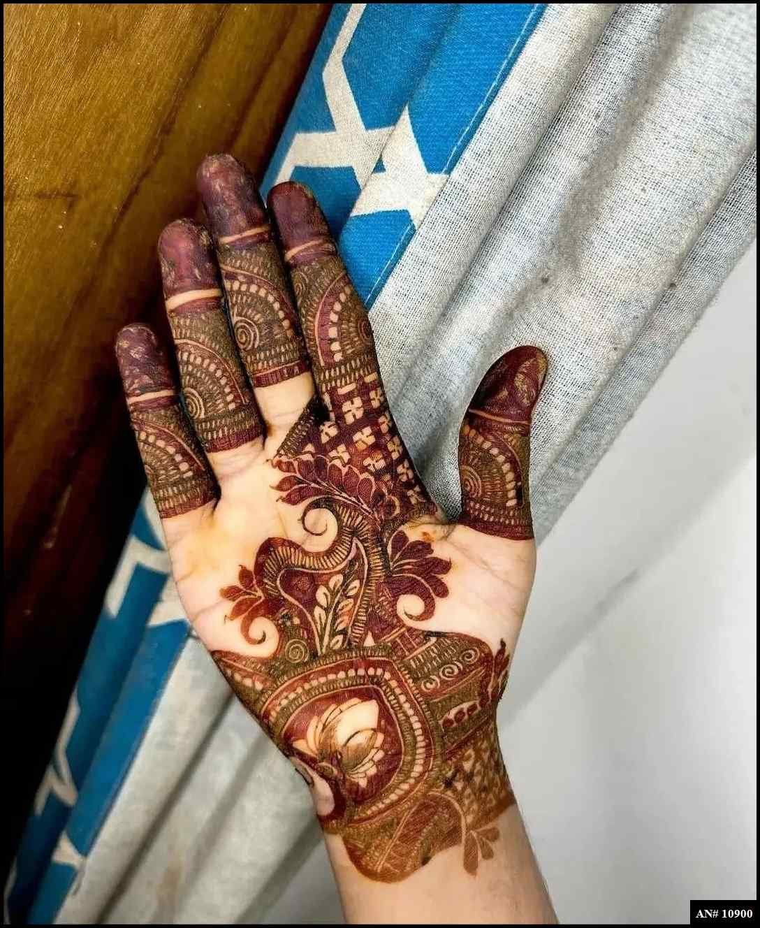 Front Hand Mehndi Design AN 10900