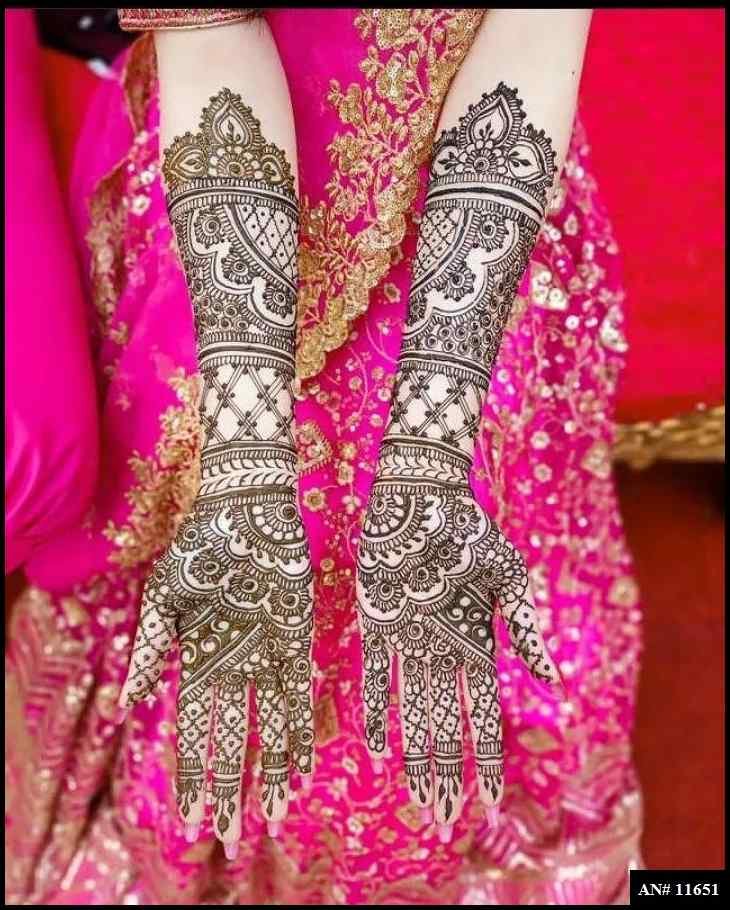 Front Hand Mehndi Design AN 11651