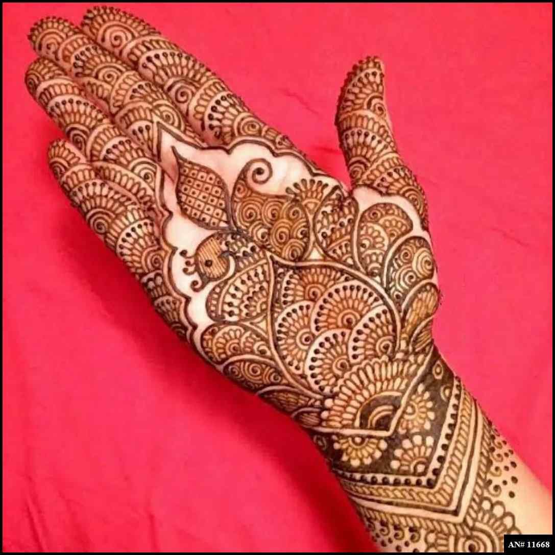 Front Hand Mehndi Design AN 11668