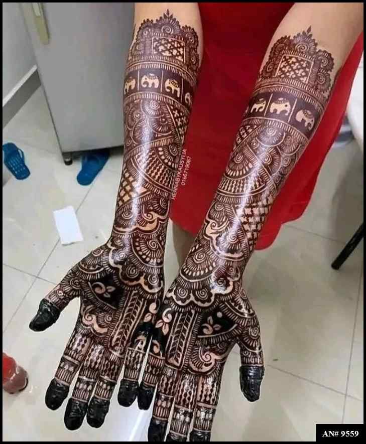 Front Hand Mehndi Design AN 9559