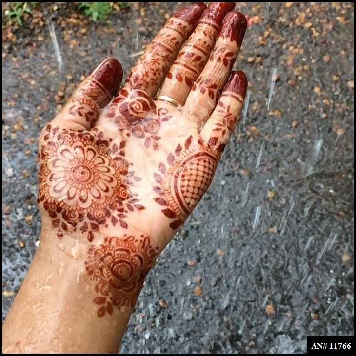 Front Hand Simple Mehndi Design AN 11766
