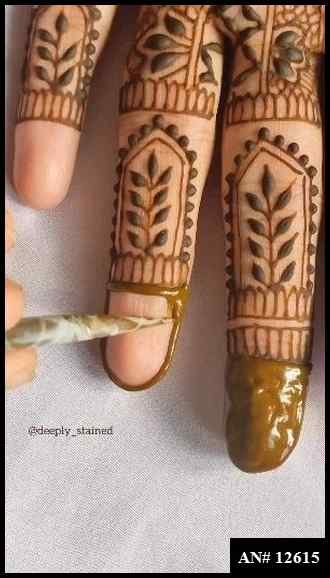 Royal Finger Mehndi Design AN 12615