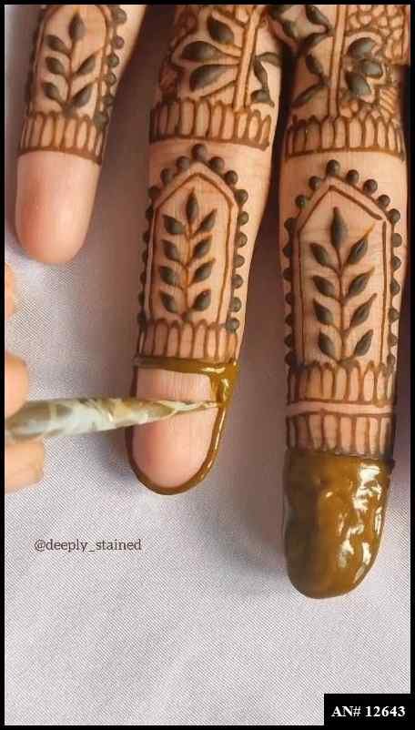 Royal Finger Mehndi Design AN 12643